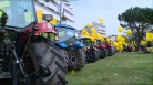Manifestazione Coldiretti a Udine
